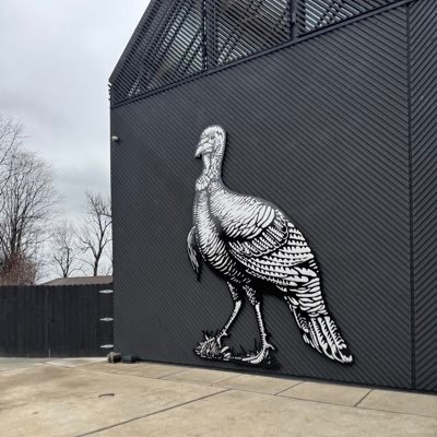 thefsugrad's profile picture. 