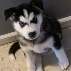 Dan__24_'s profile picture. 