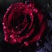💔Sub Maya Hy 💔 (@zainhakeem80770) Twitter profile photo 💔Sub Maya Hy 💔 (@zainhakeem80770) Twitter profile photo