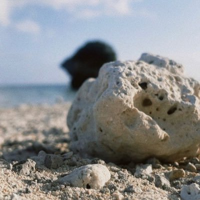 勘違いしないでほしいです。自分、男ではなく女です。 出会い系はお断りします。 それに投資とかにも興味ないんでお断りします。そういう出会い系を求めるなら出会い系アプリでも登録してやればいいじゃないんですか?こちらとしては大変迷惑です。そういうのやめてください。それでもフォローしてくるならこのアプリ消します。