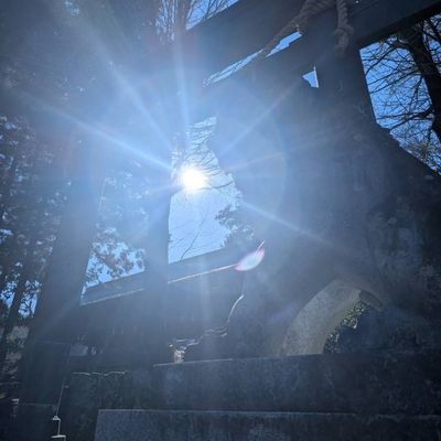 2019年5月29日。ごく初期の乳ガンと診断されました。他にも二分脊椎症、過敏性腸症候群など、見た目では分からない内部障害の持ち主です。家族や大勢の人に支えられてます。ヴァンフォーレ甲府のサポーターです。鳥海選手、三平選手を推してます😊山梨住みます芸人、いしいそうたろうさん、応援してます‼️