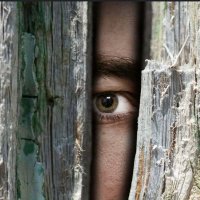 Tom Peeping (@tomp33ping) 's Twitter Profile