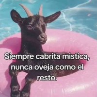 Asimisme π¦₯π³οΈβπ (@yomismitx) 's Twitter Profile