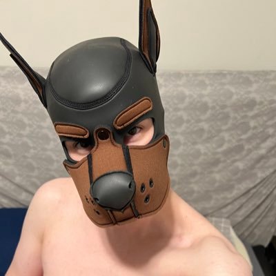 Rory (it/its) ΘΔ 🐕🦺 —Hiatus Profile