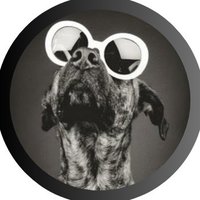 Oberto C 😎 (@oberto_c1) 's Twitter Profile