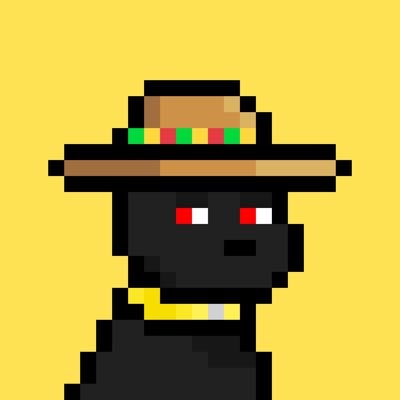Crypto, Tesla, and DJ energy from the Boot down south. 🇺🇸 Follow for max engagement and nonstop vibes. 📩