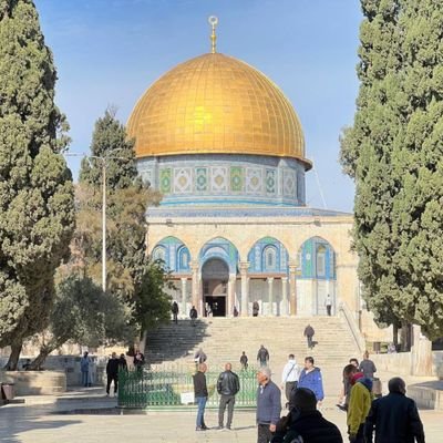 AbdulWahidRaz13's profile picture. 