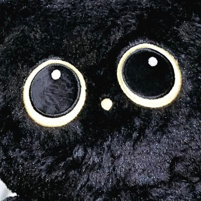 lixemali_'s profile picture. stay 🌈🥝🍓 🐱