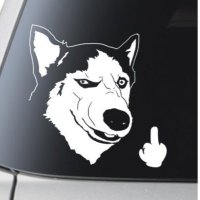 Shrek4224 (@shrek4224) 's Twitter Profile
