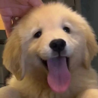˙ᵕ˙さんのプロフィール画像