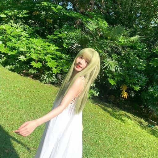 SearslithTbV's profile picture. 