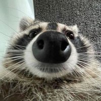 Asherrr (@asher4r) 's Twitter Profile