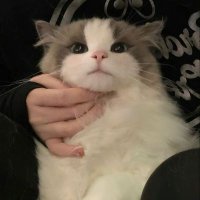 kamm (@kmxslvs) 's Twitter Profile Photo kamm (@kmxslvs) 's Twitter Profile Photo