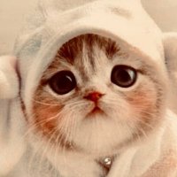 Muu ๐ฑ๐พ๐ป ็็ตฑ่ญทๆ๐ฏ๐ต (@0kjftwrslytukdd) 's Twitter Profile Photo Muu ๐ฑ๐พ๐ป ็็ตฑ่ญทๆ๐ฏ๐ต (@0kjftwrslytukdd) 's Twitter Profile Photo