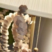 Tot (@tot2074460) 's Twitter Profile