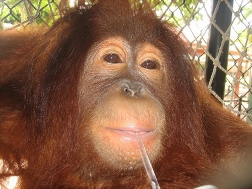 Tlaloc94533's profile picture. 