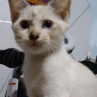 Jcrypto (@jbrycrypto) 's Twitter Profile