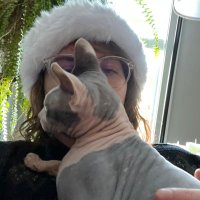 cecil.bsky.social (@accidentlwalrus) 's Twitter Profile Photo