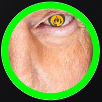 CoxStrong (@glenncoxjr) 's Twitter Profile