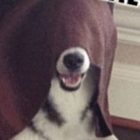 Remi’Toruzen (@remitoruzen) 's Twitter Profile