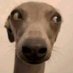 tired asf (@soobeannss) Twitter profile photo tired asf (@soobeannss) Twitter profile photo