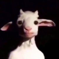 6π¬π―πΆππ π₯π¦π¨π₯ (@6oryachikh) 's Twitter Profile