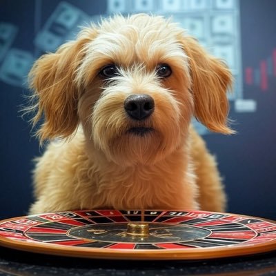 Eagleeye_93's profile picture. CAGR 11,07%