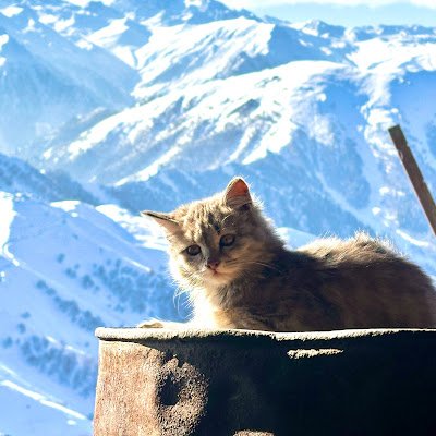 JShaijan87008's profile picture. 