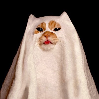 kinokoodesu's profile picture. 🙂