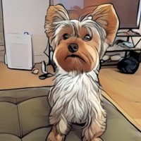 bobstrick.btc 🛡️ (@bobstrickb8676) 's Twitter Profile