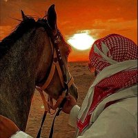 A̷l̷7̷r̷🦅A̷l̷n̷d̷a̷w̷y̷ (@7r7r70) 's Twitter Profile