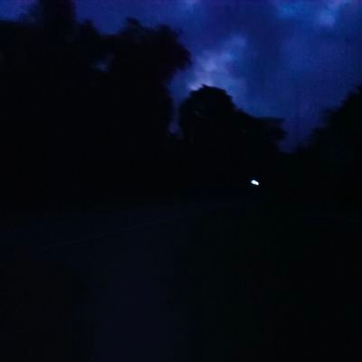 TTRRIIKKEE's profile picture. 