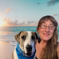 Jo Frazer (@jofrazer2) 's Twitter Profile Photo Jo Frazer (@jofrazer2) 's Twitter Profile Photo