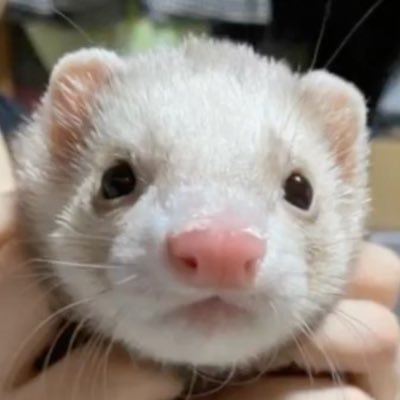 かんなさんのプロフィール画像