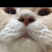 D0lL_C0lL3Ct0R (@c0ll3ct0r_d0ll) 's Twitter Profile Photo D0lL_C0lL3Ct0R (@c0ll3ct0r_d0ll) 's Twitter Profile Photo
