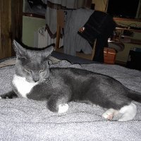 UoTeR (@uotr68) 's Twitter Profile