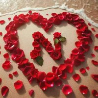 noor (@noor1870586) Twitter profile photo