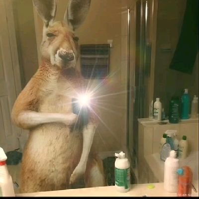 Guilher84107029's profile picture. 