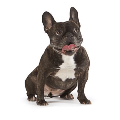 902lovermen's profile picture. prpr