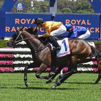 🐴 Altair I Am 🐎 Allapercanto 🏇Parramatta Eels 🏉 Sydney Kings 🏀 AO Tennis 🎾 Baltimore Ravens 🏈