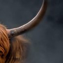 Hope Orr(꧁IP꧂) - @HopeOrr177733 - Twitter