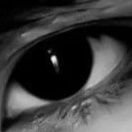 Ute24228913's profile picture. 