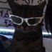 Mohamed (@owl1mack) Twitter profile photo Mohamed (@owl1mack) Twitter profile photo