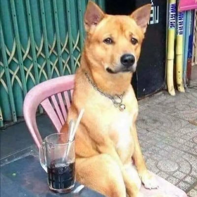 tannguyenthan13's profile picture. Đ