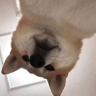 DRFeather013's profile picture. I wanna fly...