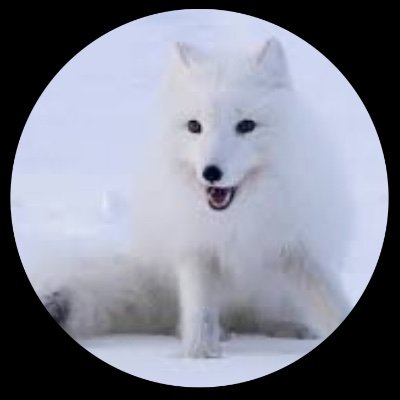 Othello9910's profile picture. Hi there