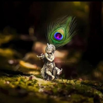 khande97025's profile picture. धर्मो रक्षति रक्षितः!! 🚩 कृष्णम वन्दे जगद्गुरु 🌹-If you protect religion, religion will protect you.🚩 जय महाकाल 📿