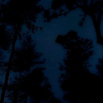 C61476C's profile picture. 