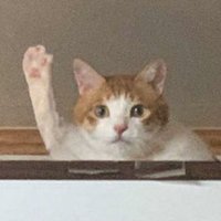논부 (@wiwi5ing) 's Twitter Profile Photo