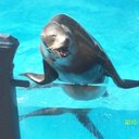 Aaron Shepard - @skybound8058 - Twitter